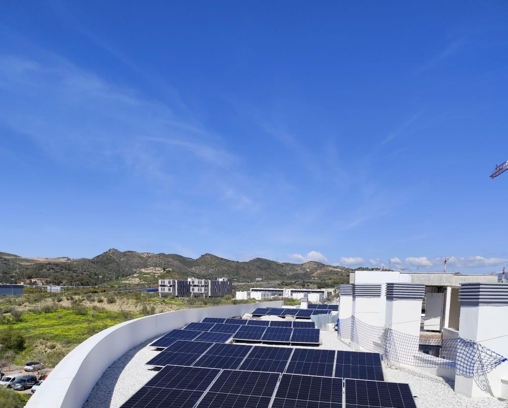 WhatsApp Image 2026-03-11 at 14.22.36 (3)